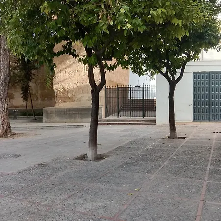 Casa Mnuela - Centro Jerez - Parking Opcional Appartement Jerez de la Frontera