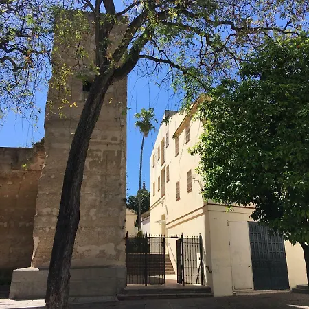 Casa Mnuela - Centro Jerez - Parking Opcional Appartement Jerez de la Frontera